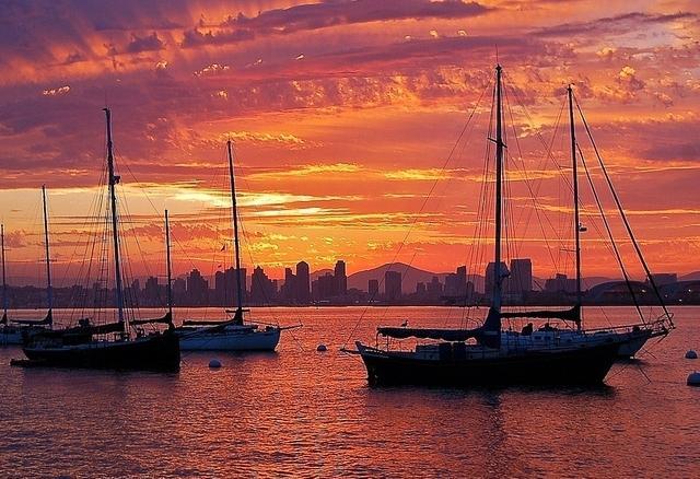 Bloomberg names San Diego as one of four cities in climate challenge
