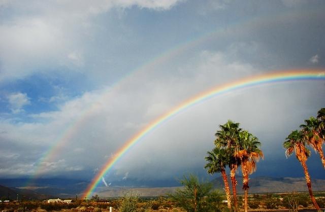 Where to capture the most picturesque scenes of San Diego