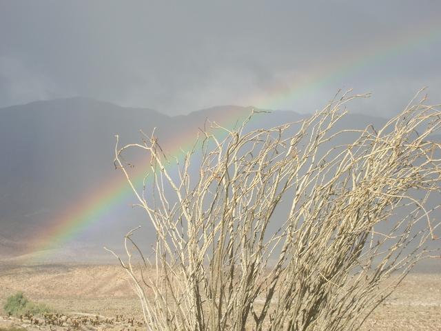 Where to camp in San Diego County