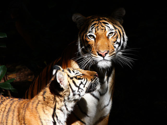 Ideas for planning your first date in San Diego