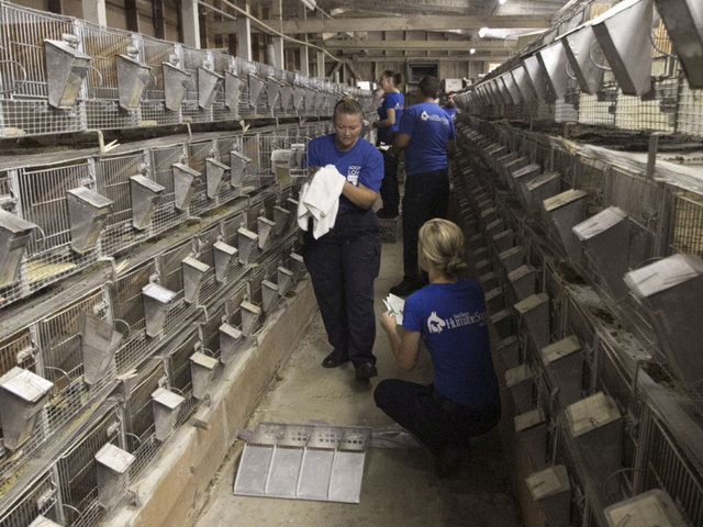 Humane Society takes over Animal Control services this