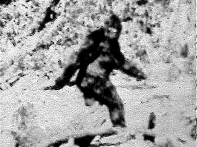 Woman sues California Dept. of Fish and Wildlife for ignoring existence of Bigfoot
