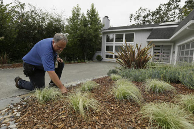 City of San Diego offering lawn rebate in effort to conserve water