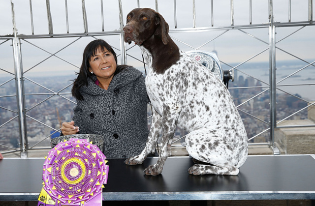 Heartwarming dog stories of 2016