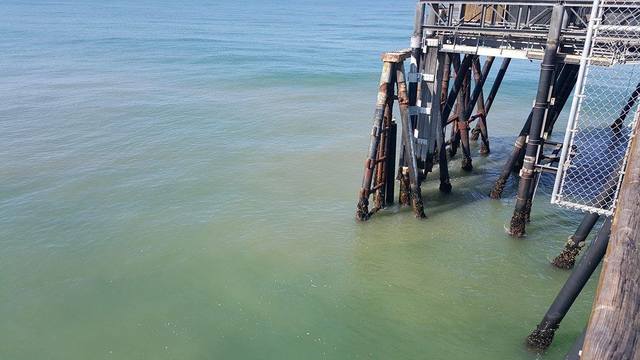 San Go Imperial Beach The Best Beaches In World San Go Health Officials Close Imperial Beach Sline Due Sewage