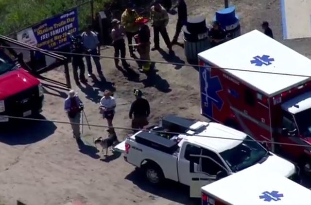 Two Mission Trails hikers rescued after bee attack
