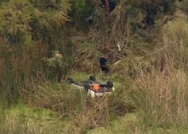Car veers off San Ysidro street, crashes in pond