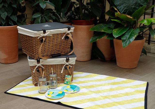 San Diego parks for the perfect summer picnic