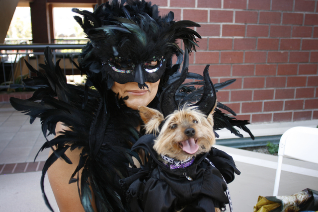 'Howl-o-ween' mega adoption event to feature hundreds of canines