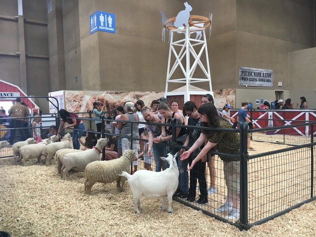 By the numbers: San Diego County Fair