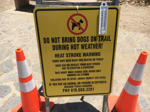 Family's dog dies while hiking Cowles Mountain