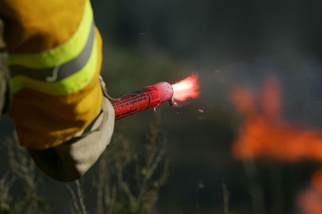 California wildfires prompt elevated fire restrictions at Cleveland National Forest