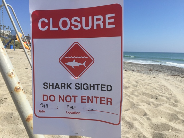 shark sighting closure beach sign