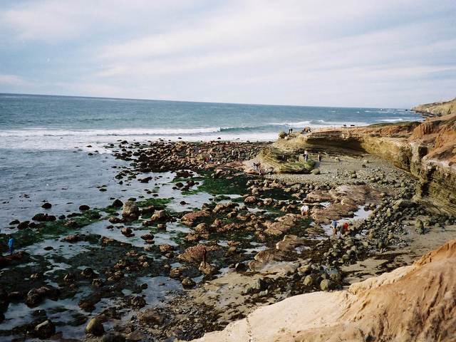 Keep the learning going during spring break with San Diego adventures