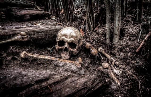 PHOTOS: Halloween events at San Diego parks