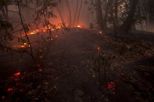 New photos of Santa Rosa Fire emerge from over the weekend