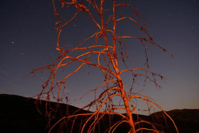 Santa Ana winds bring December fire danger to San Diego