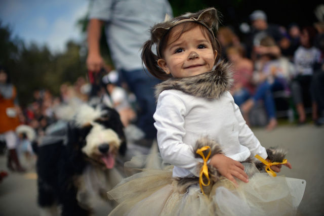 Free offers and deals available in San Diego for Halloween