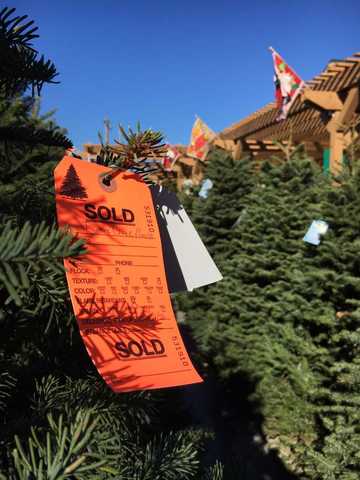 you may want to add christmas tree to your black friday shopping list this year the national christmas tree association says they expect a shortage - National Christmas Tree Association you may want to add christmas tree to your black friday shopping list this year the national christmas tree association says they expect a shortage - National Christmas Tree Association