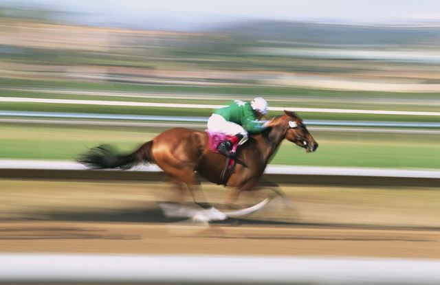 Number of horses killed by fire rises to 46, including race horse California Diamond