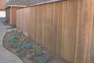 Sheriff's deputies investigated after video