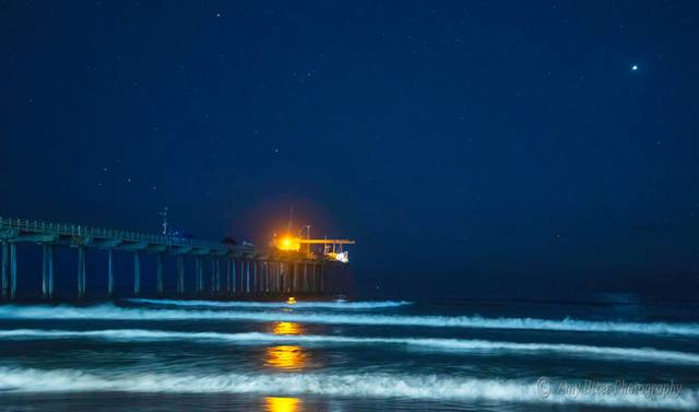 Catch the tide: Red tide experiments for families at home