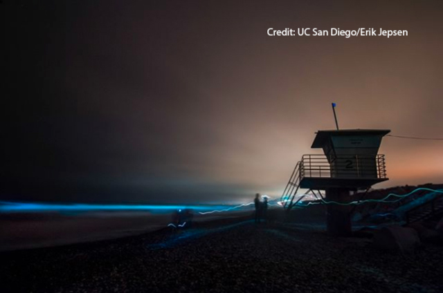 PHOTOS: San Diegans capture neon glow of red tide