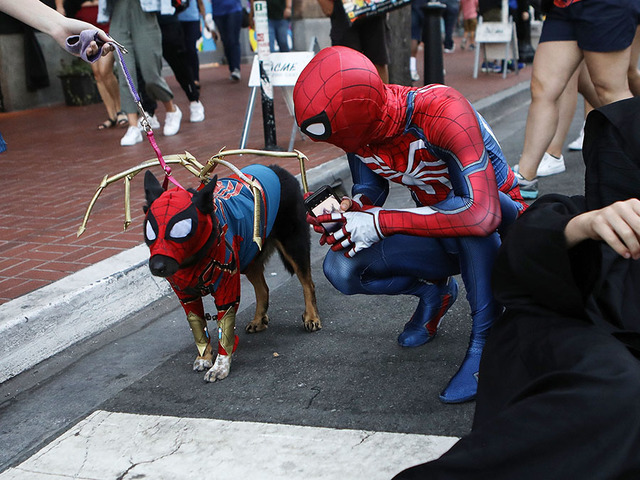 Comic-Con 2019 open registration date revealed