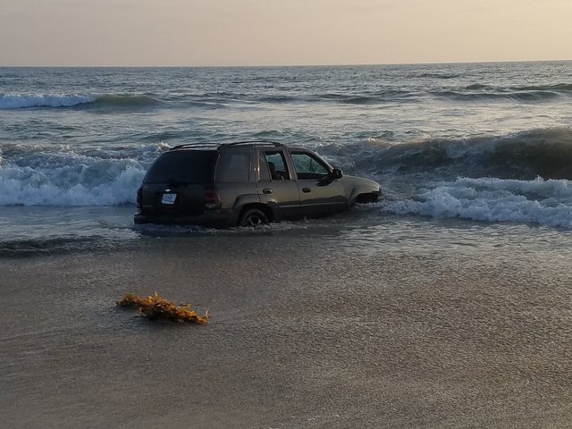Suspected DUI driver takes a dip in IB