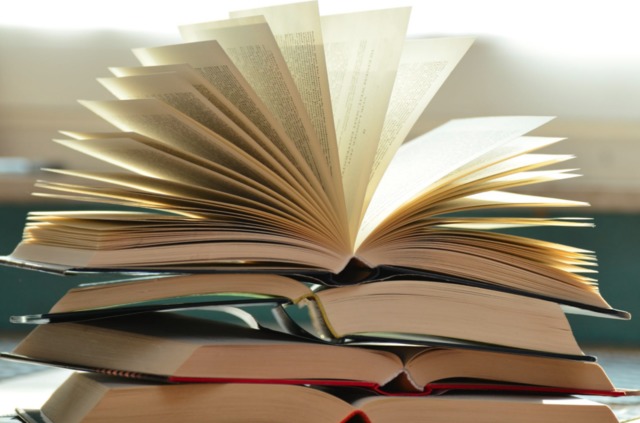 Literacy program improves student reading scores