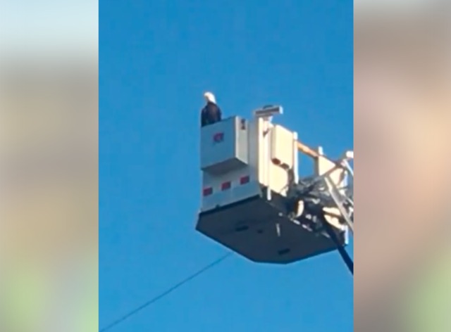 Eagle lands on Minnesota fire department's 9/11 display