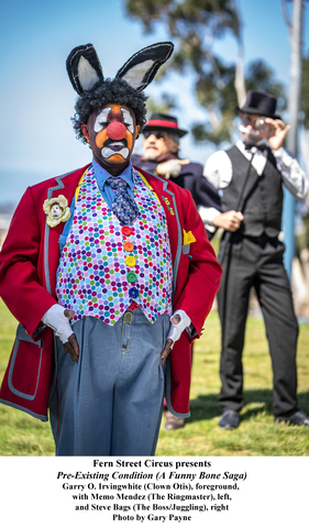 Fern Street Circus holding free shows for kids