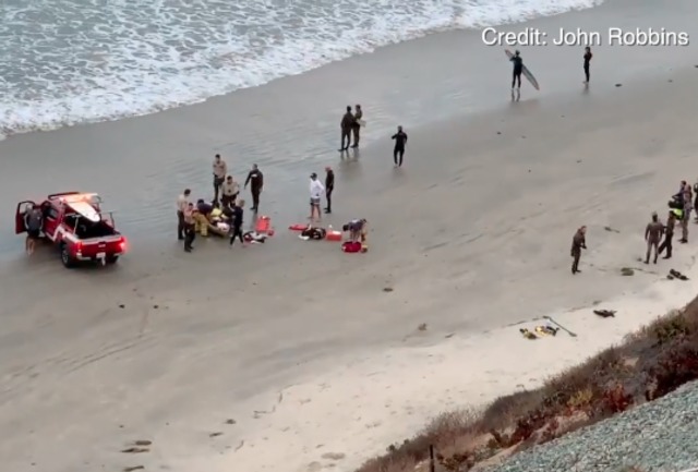 Shark attack reported in Encinitas