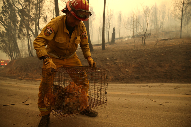 PHOTOS: Camp Fire continues to destroy NorCal